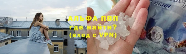 прущие грибы Белоозёрский