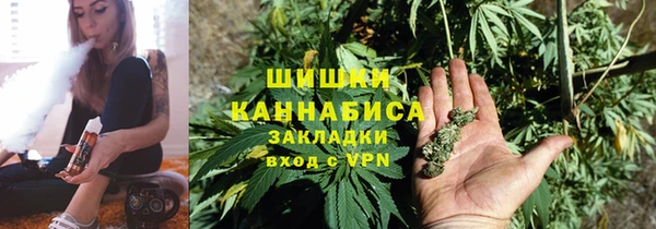Альфа ПВП Белокуриха