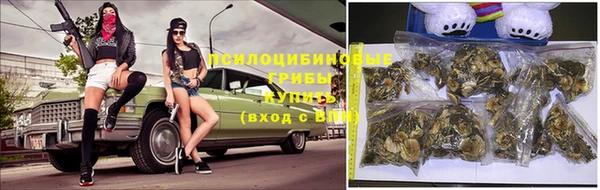молекула духа Беломорск